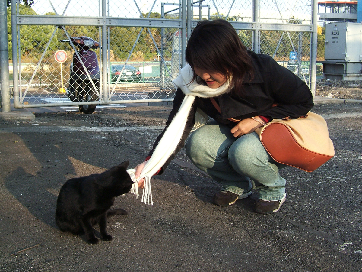 浅野駅の黒猫（2006年12月）