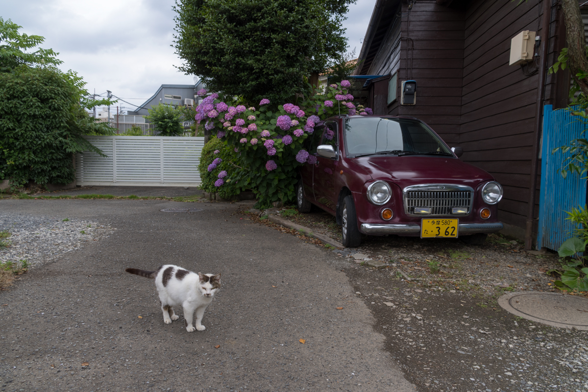 2019年6月12日