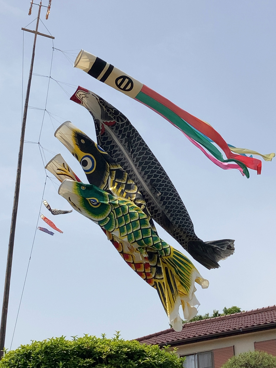 日野市内の鯉のぼり2