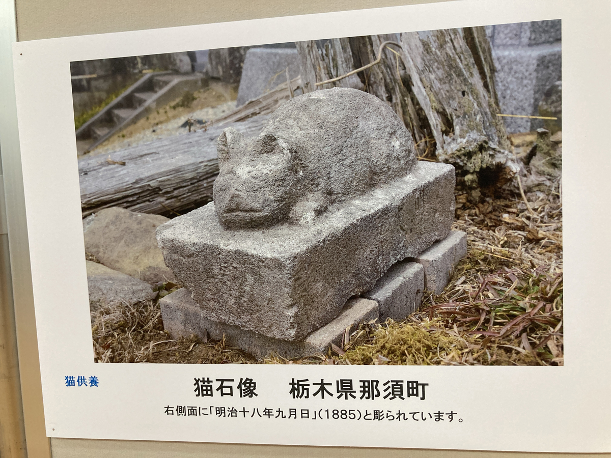 展示物1
