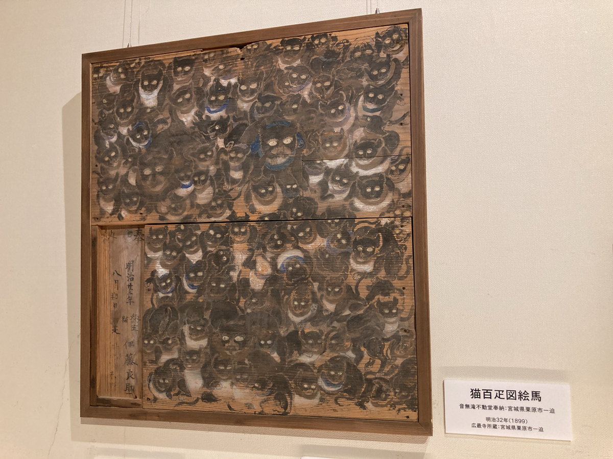展示物2