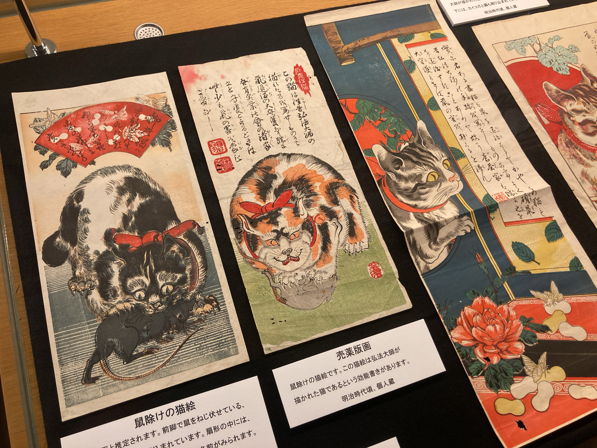 展示物4