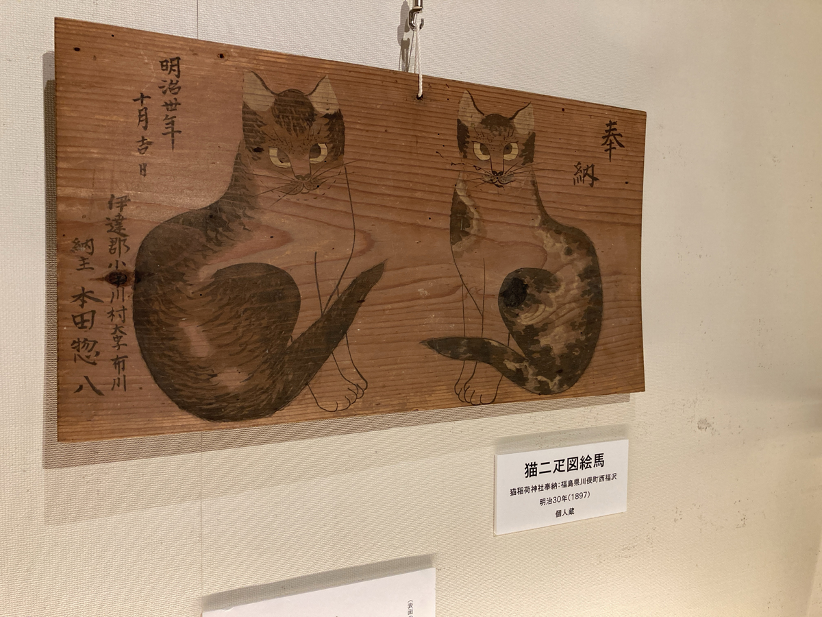 展示物11