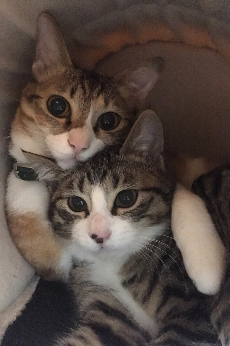 不二子ちゃんと小太郎ちゃん
