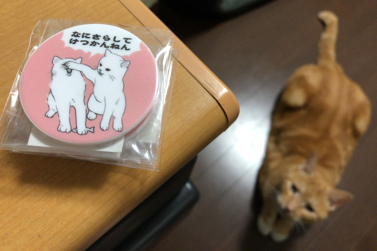なにさらしてけつかんねん