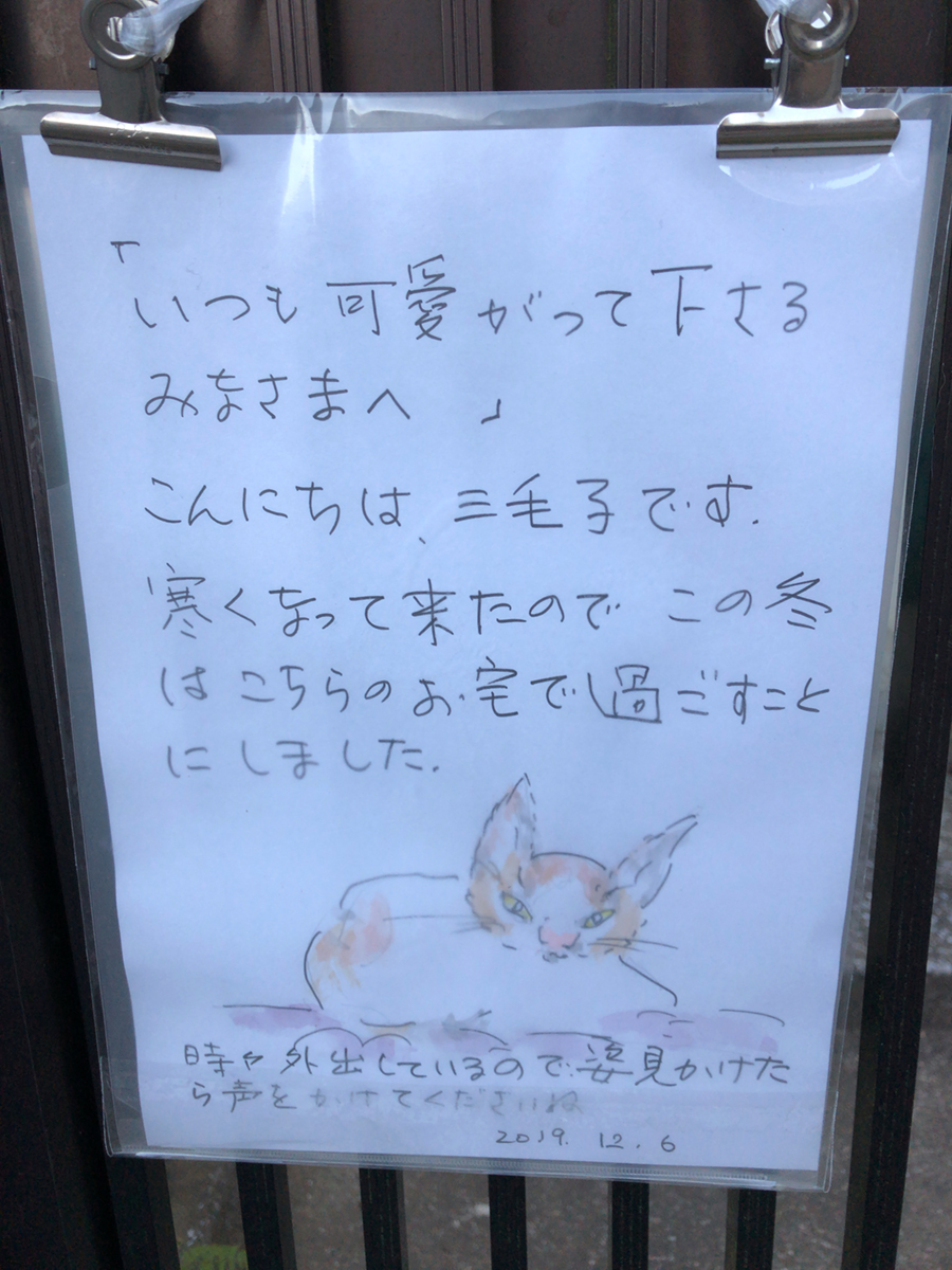 三毛子の冬ごもり