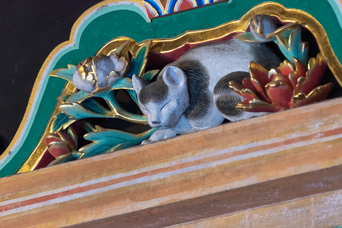眠り猫