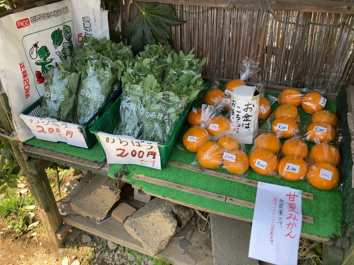 のらぼう