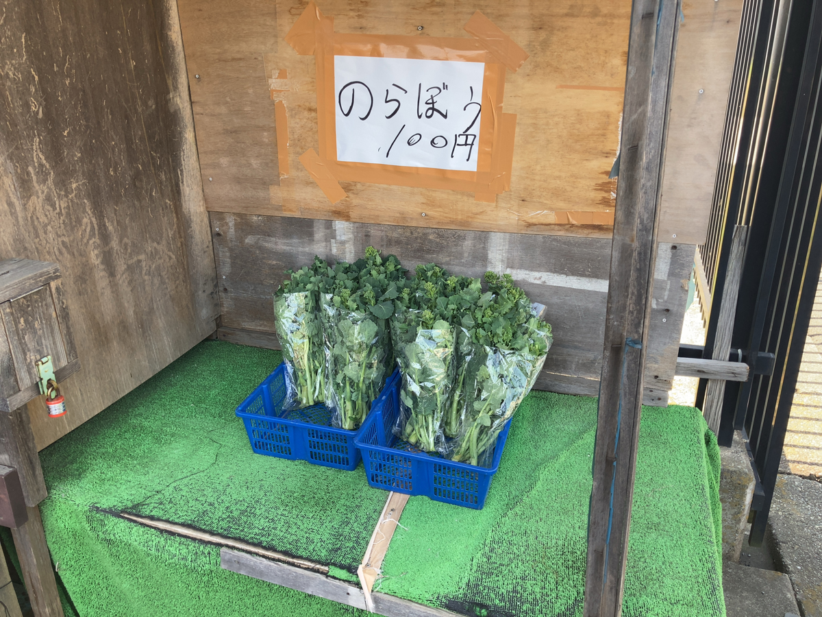 のらぼう