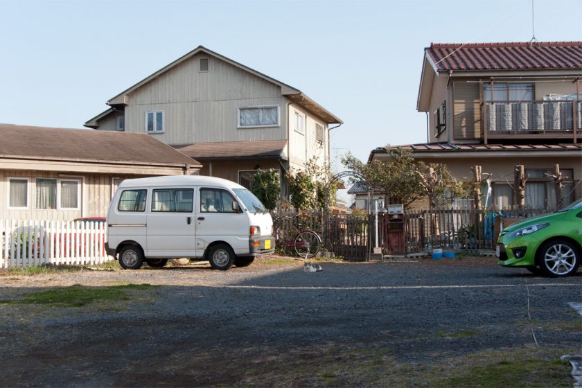 日野市の猫