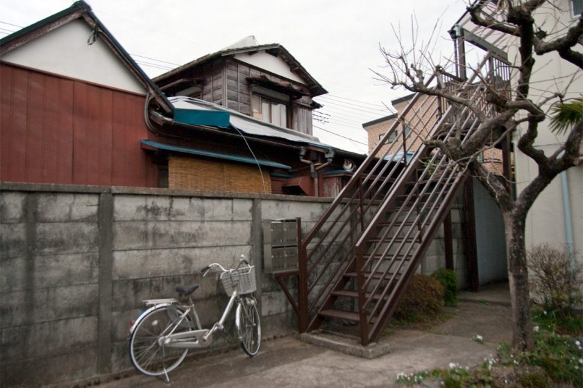 立川市の猫