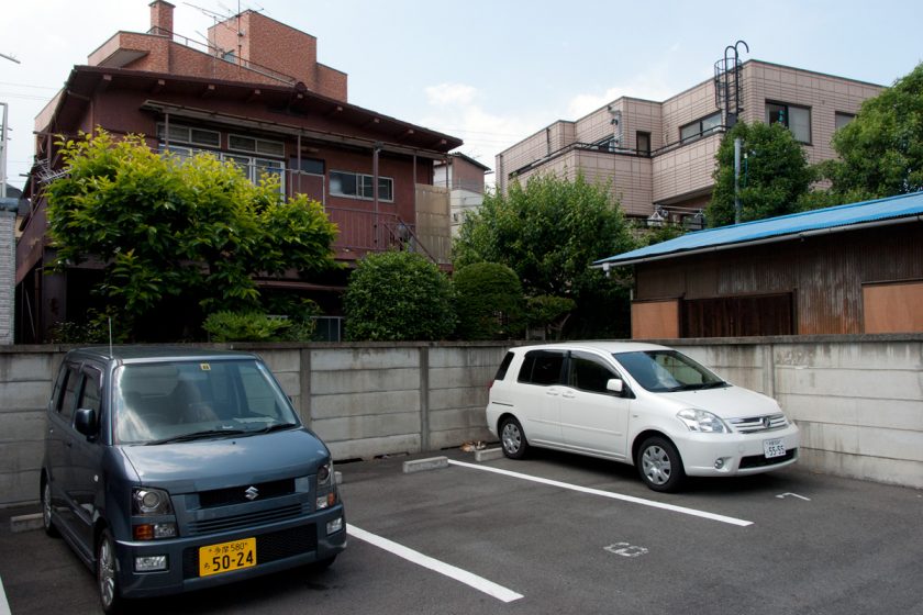 立川市の猫