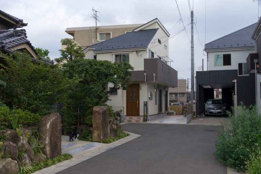 昭島市の猫