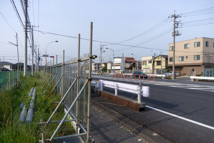 昭島市の猫