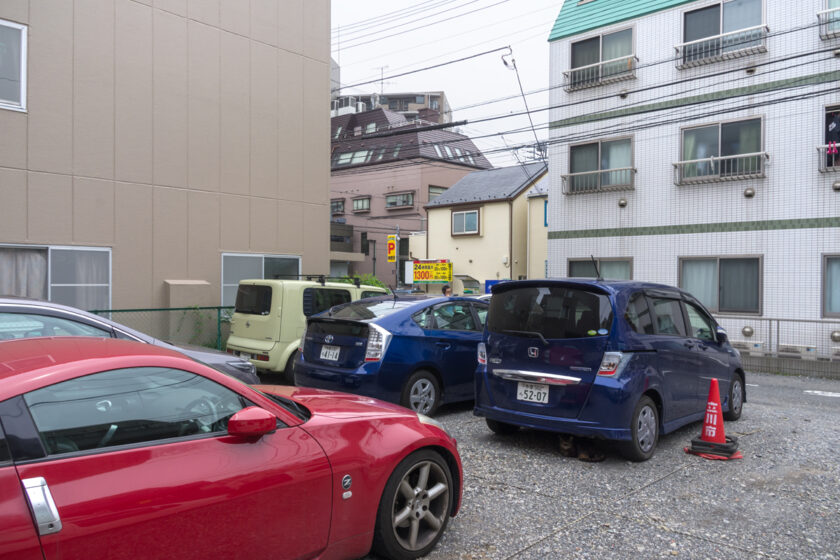 立川市の猫