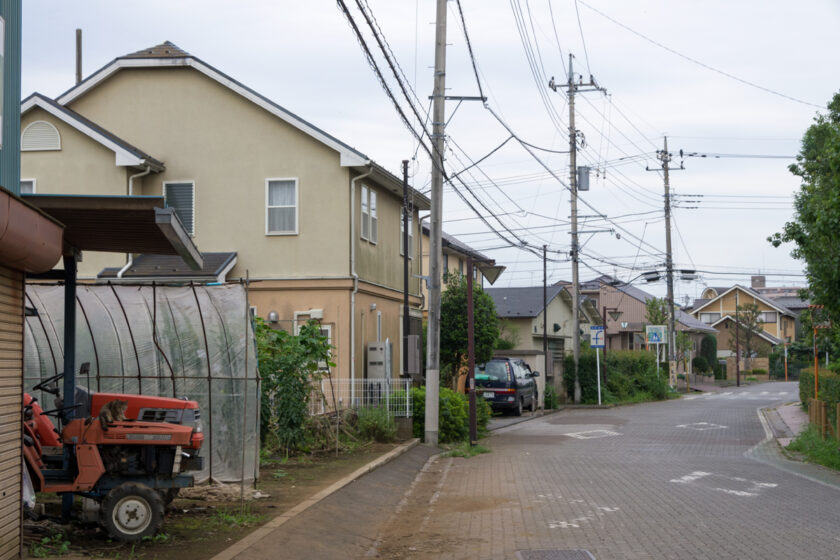 国立市の猫