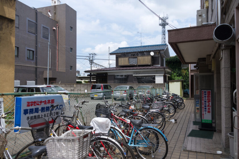 昭島市の猫