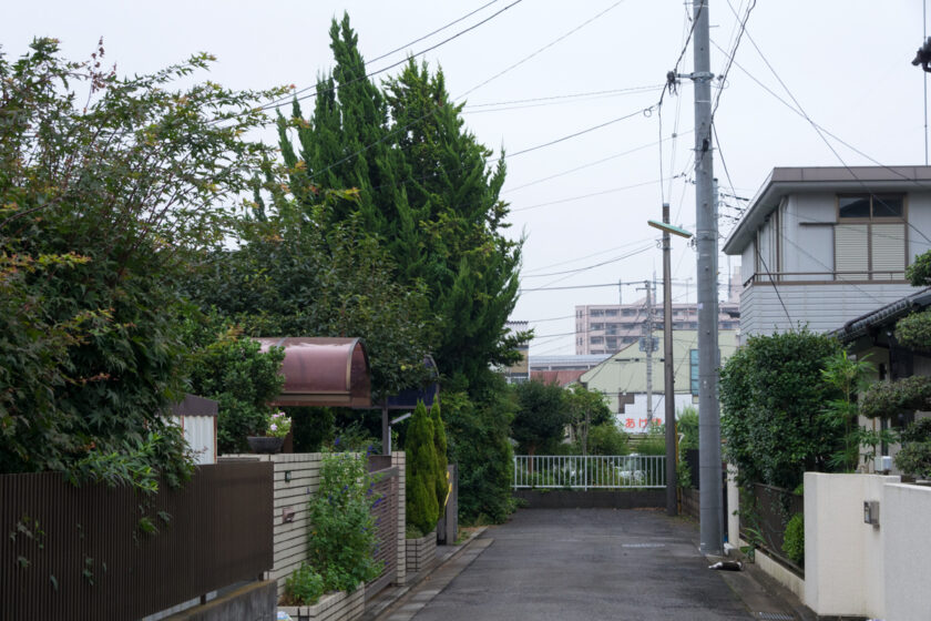 東村山市の猫