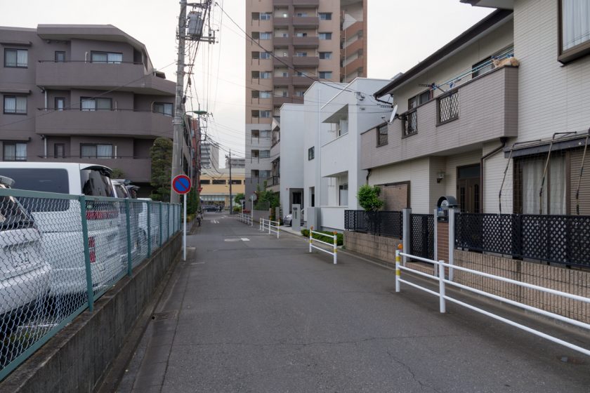 朝霞市の猫