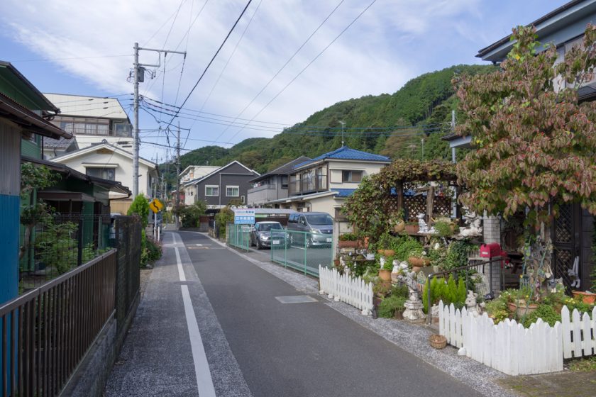 青梅市の猫