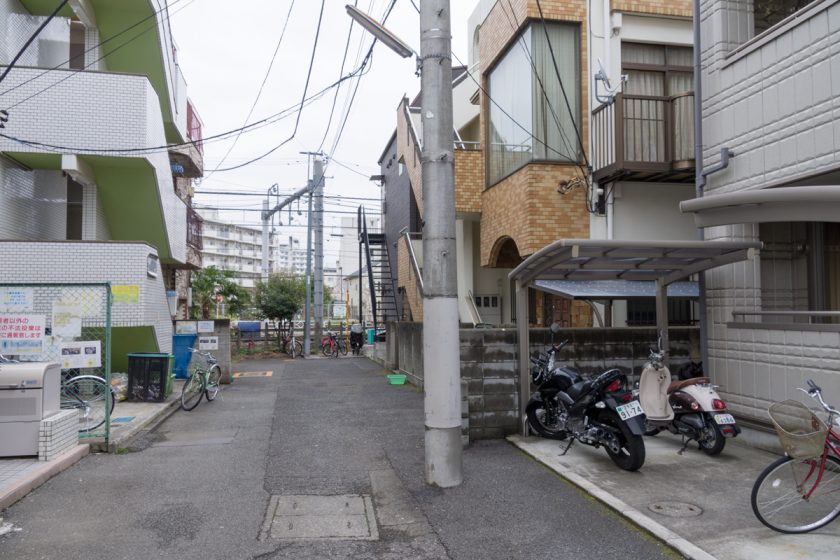 立川市の猫