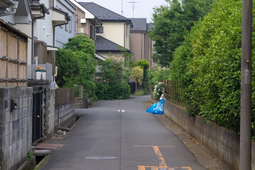 所沢市の猫