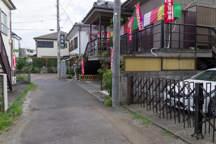 立川市の猫