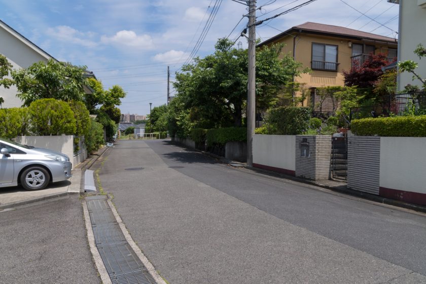 八王子市の猫