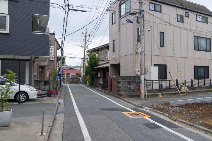 立川市の猫