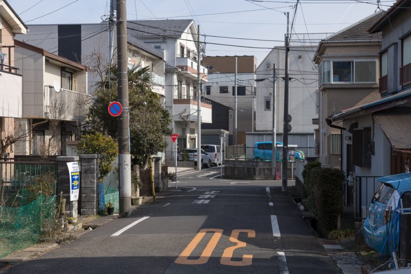 八王子市の猫