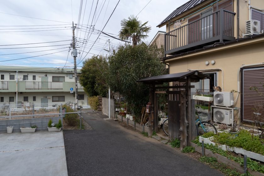 昭島市の猫