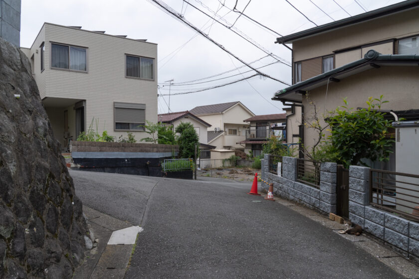 日野市の猫