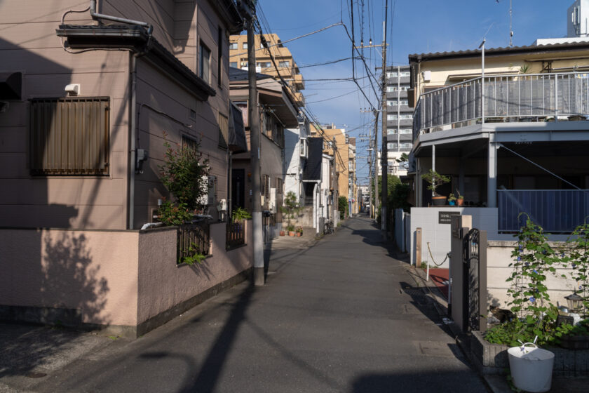 調布市の猫