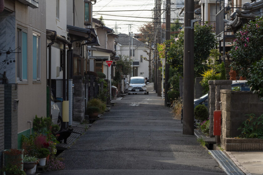 日野市の猫