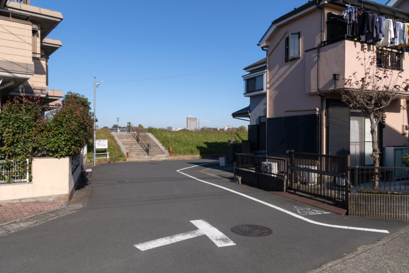 日野市の猫