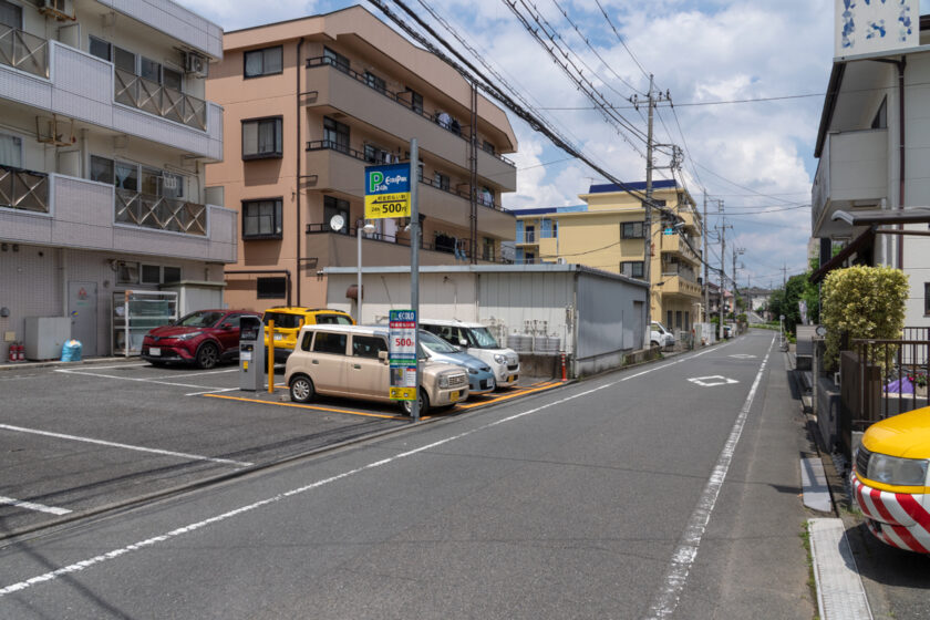 八王子市の猫