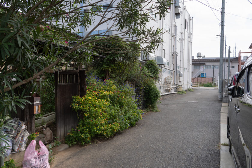 昭島市の猫