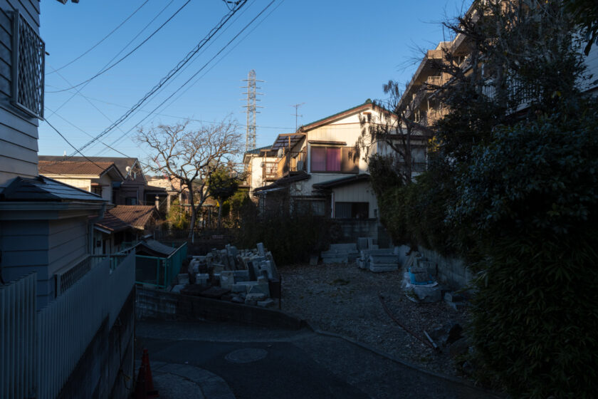 川崎市の猫