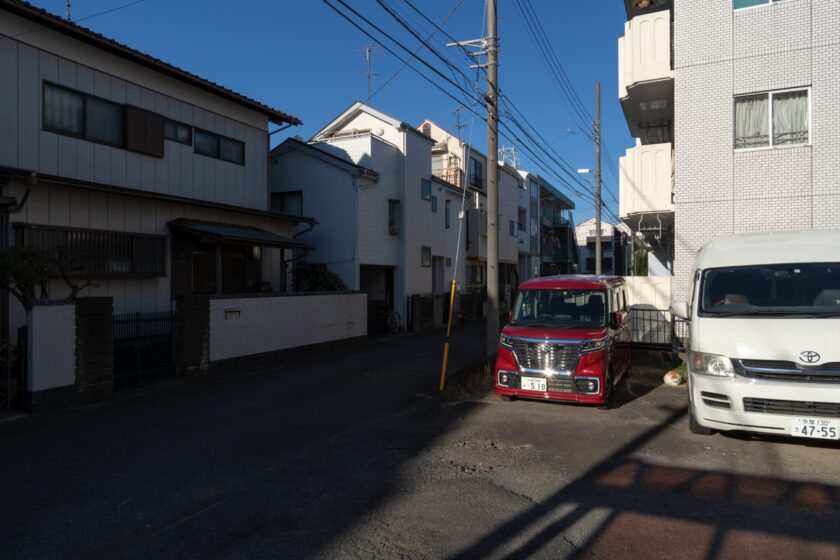 川崎市の猫