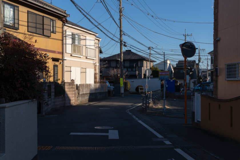 日野市の猫