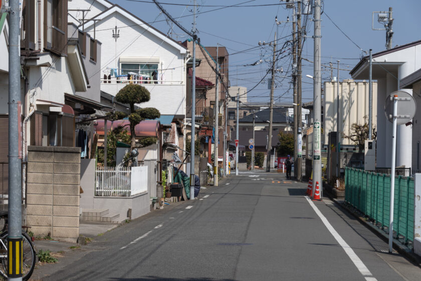 相模原市の猫