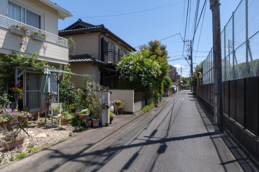 調布市の猫