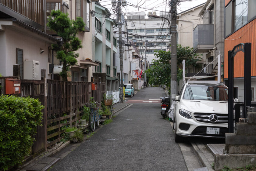 新宿区の猫