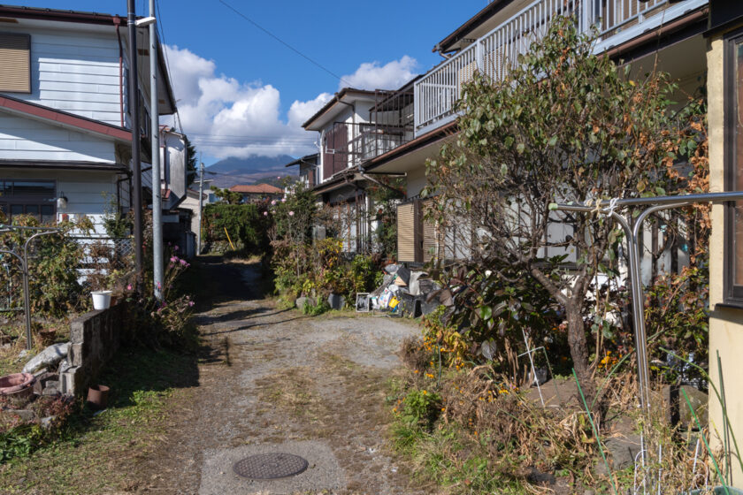 日光市の猫