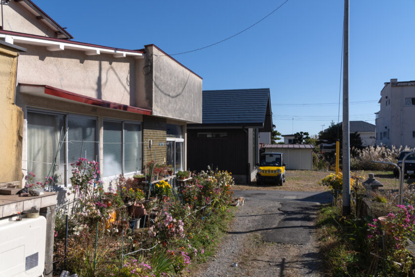 日光市の猫