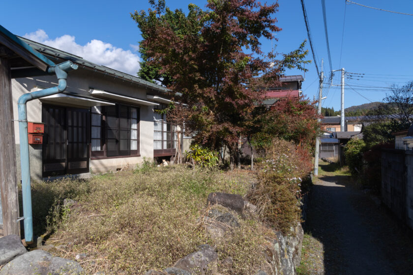 日光市の猫