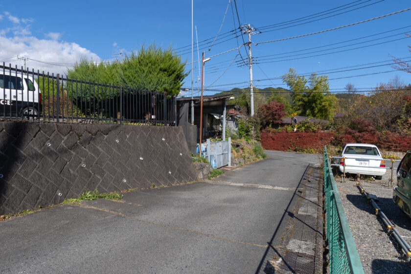 日光市の猫