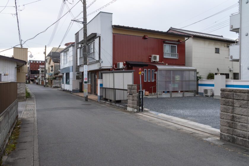 下野市の猫