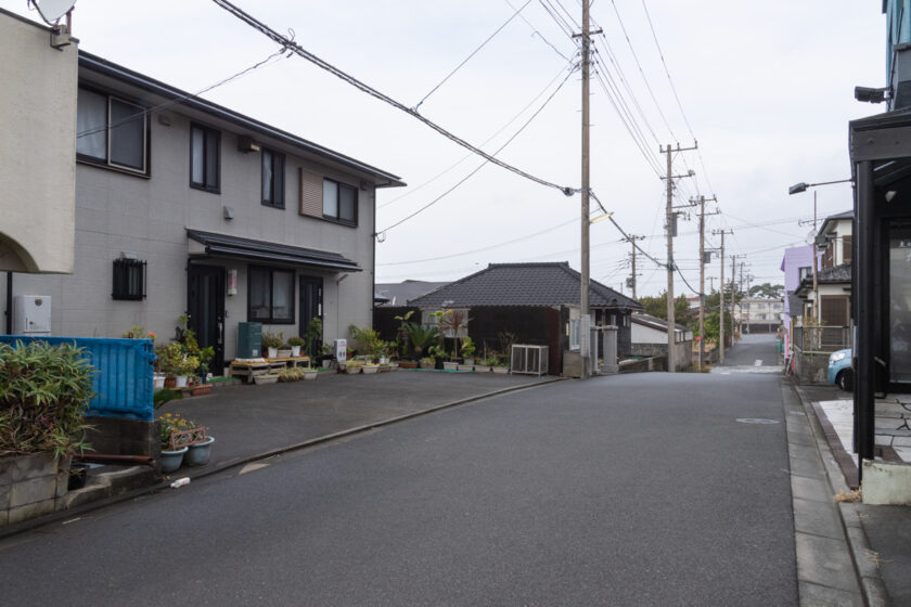 大島町の猫