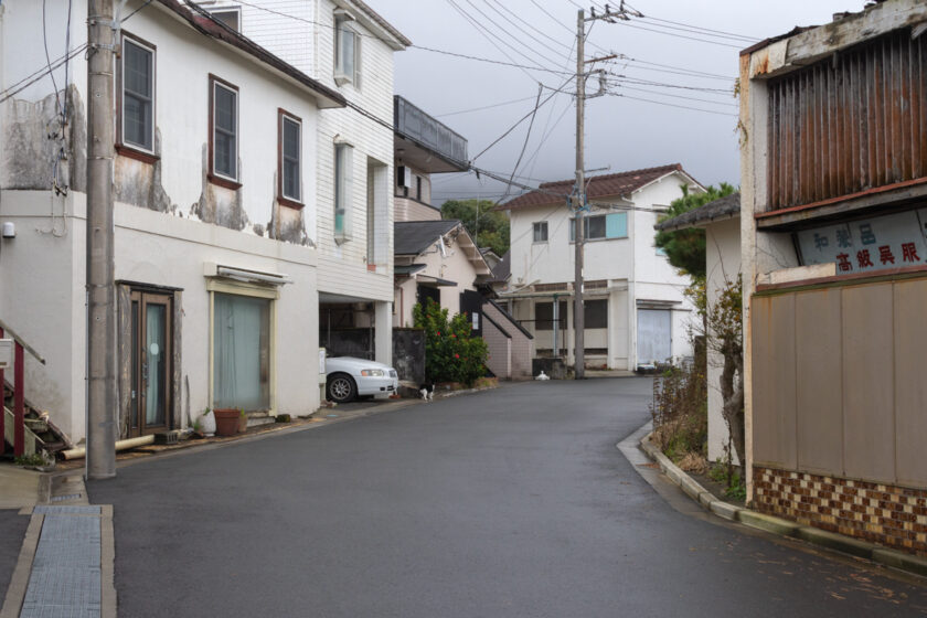 大島町の猫